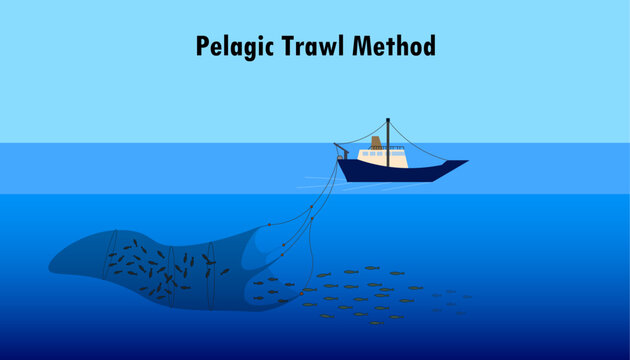 Pelagic Trawl Method of catching fish