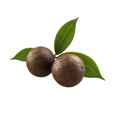 Obraz premium Two round, brown fruits with green leaves, showcasing their natural freshness., isolated on a transparent background.