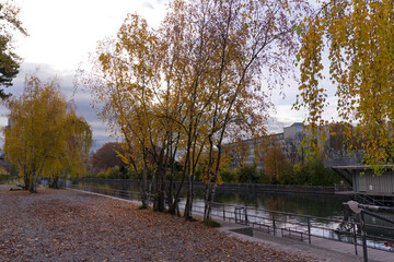 Scenic view of Limmat river with autumn trees and river bath upper Letten on an autumn day at Swiss City of Zürich. Photo taken November 18th, 2024, Zurich, Switzerland.