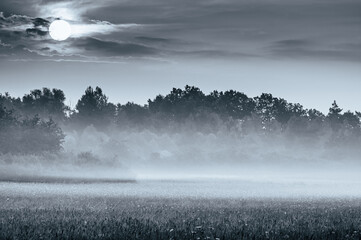 mgły nad polami i łąkami pod lasem wcześnie rano © Henryk Niestrój