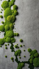 Green moss art adorns a gray concrete surface creating a unique texture and pattern