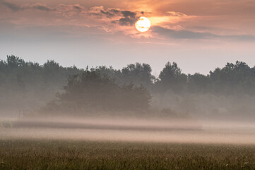 mgły nad polami i łąkami pod lasem wcześnie rano © Henryk Niestrój