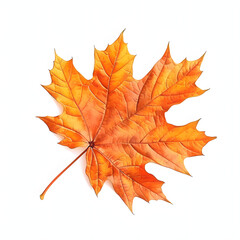 Fototapeta premium autumn leaves with a white accent, png