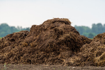 kupa nawozu lub kiszonki na polu © Henryk Niestrój