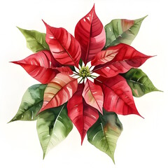 A watercolor painting of a poinsettia flower.