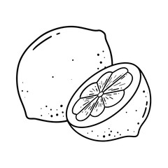 A minimalist black-and-white line drawing of a lemon, perfect for logos, design outlines, or as a base for coloring and creative projects.