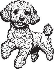 running toy poodle dog