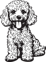 illustration of a toy poodle dog