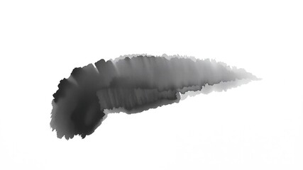 A single delicate watercolor brush stroke of black paint on a pure white background creates an intriguing subtle visual effect, subtle effect, white background, black paint