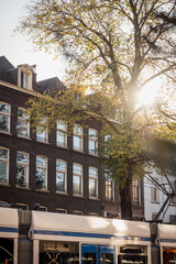 Landscape along the canals of the beautiful city of Amsterdam 47
