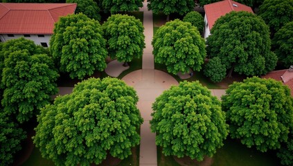 Aerial perspective showing landscape design with buildings and trees