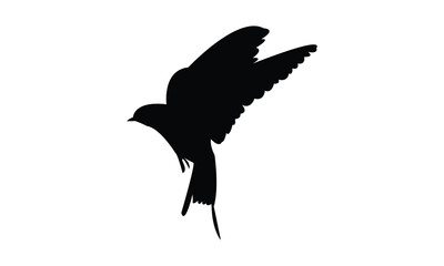 Swift Bird Silhouette Design  And Vector Illustration. 
