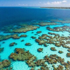 Obraz premium an aerial shot of a vibrant coral reef with crystal-clear turquoise waters. Capture the intricate patterns of the coral formations and the diverse marine life swimming above the reef
