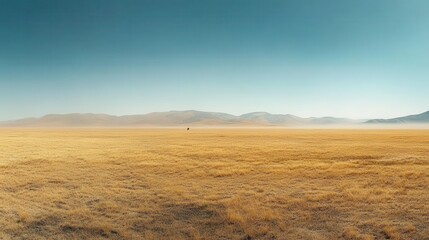 A vast, golden landscape stretches under a clear blue sky, with distant mountains creating a serene backdrop, evoking tranquility and isolation.