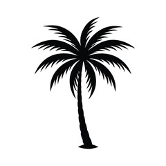 Fototapeta premium Palm Tree Vector Illustration for Tropical Designs