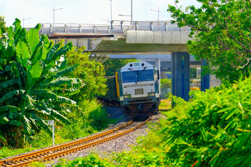 Freight train wagons container locomotive travels along the railway drives under a bridge through a tropical banana forest