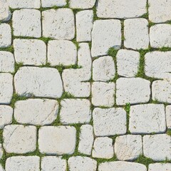 Obraz premium White cobblestone path with grass