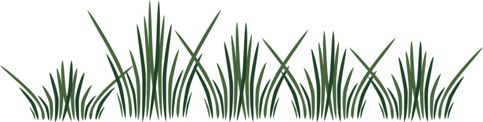 Grass Bush Footer
