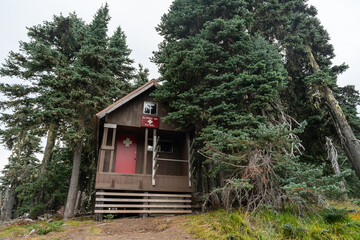 A brown Olympic Ski Patrol building on Hurricane Ridge during the summer.