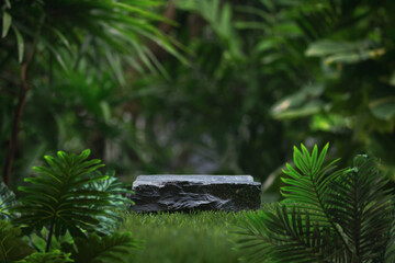 Stone podium tabletop floor in outdoors tropical garden forest blurred green leaf plant nature...