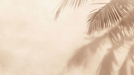 Close-Up of Palm Tree Branch with Long Slender Leaves Casting Shadows on Soft Pastel Beige Background. Peaceful Serene Mood.