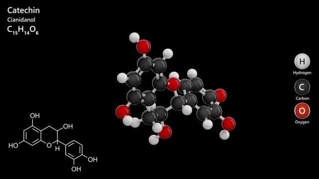 Catechin. Antioxidant. Flavonoid. Animated 3D model of a molecule. Molecular formula: C15H14O6. Chemical model: Ball and sticks. Black background. 3D rendering. Seamless loop.