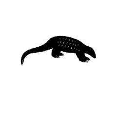 Bonrui animal design