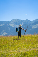 A lone hiker with a backpack and walking stick standing in a vibrant alpine meadow, admiring the majestic mountain range under a clear blue sky, embodying adventure and freedom.
