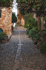 Charming cobblestone street in a historic village, surrounded by stone walls, lush greenery, and rustic architecture, capturing the timeless beauty of Mediterranean heritage.
