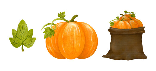 Harvest pumpkin in brown sack bag set hand draw painted illustration isolated in white background.