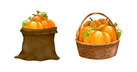 Harvest pumpkin in brown sack bag, basket with handle, hand drawn watercolor painting illustration isolated.