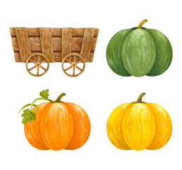 Fresh colorful pumpkin with vine leaf, cart, wheelbarrow hand draw watercolor illustration set isolated on white background.