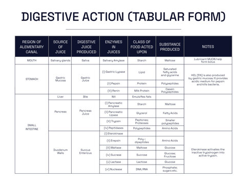 Tabular form of Digestive Action