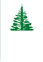 Norfolk Island Flag Crisp Icon