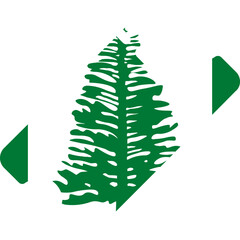Norfolk Island Flag On ticket
