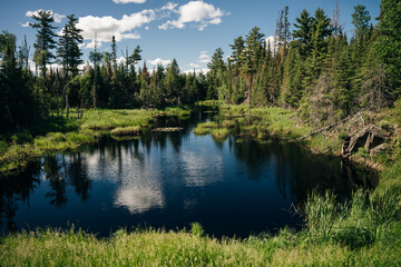 Imagery with small lakes, forest and beautiful blue sky with big puffy clouds in Summertime.