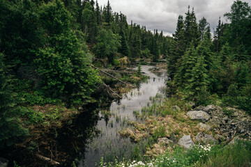 Imagery with small lakes, forest and beautiful blue sky with big puffy clouds in Summertime.