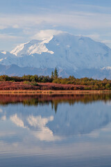 Scenic Reflection Landscape in Denali nNational Park Alaska in Autumn