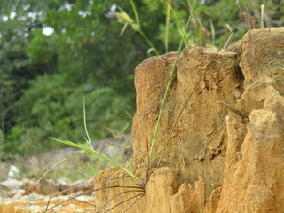 pile of small stones on a stretch of yellow earth