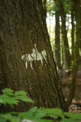 Horse riding sign painted on a tree in a forest, vertical, Dortmund, North Rhine-Westphalia, Germany