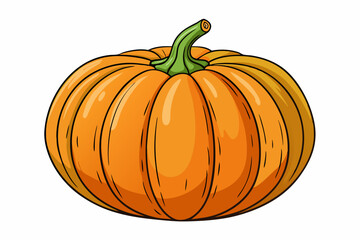 Big orange pumpkin single element white background vector illustration