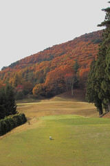 日本の秋のゴルフ場