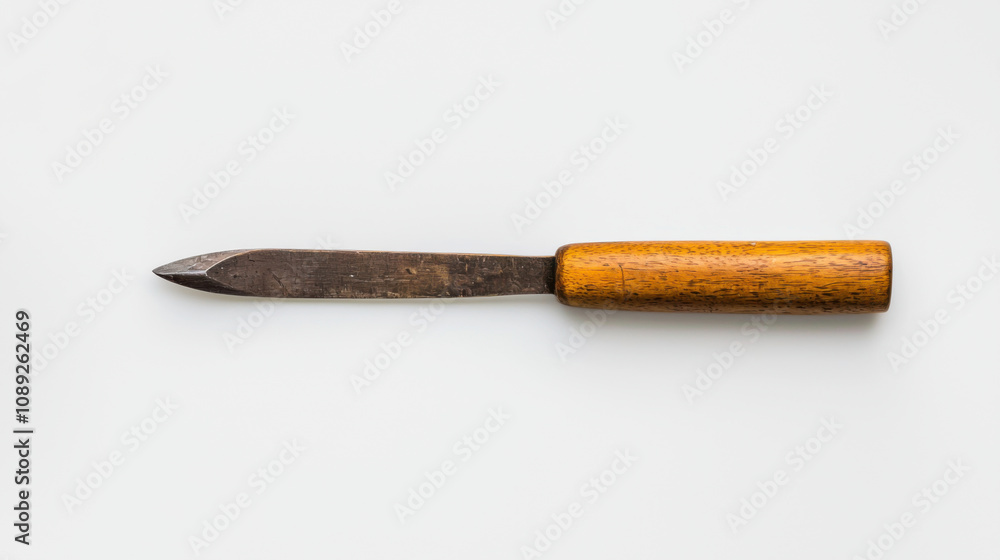 Poster skill and chisel concept. minimalist shot of single chisel with wooden handle