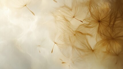 Obraz premium Dandelion seeds gracefully dispersing against a dreamy soft background, showcasing delicate textures and nature's beautiful design.