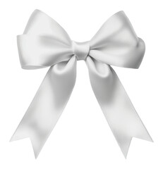 PNG Elegant white ribbon bow for special occasions