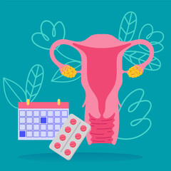 Menstrual Cycle and Female Reproductive Health Illustration