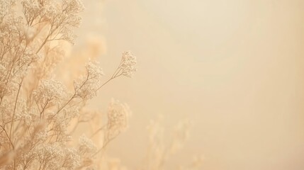 Floral mockup with delicate white flowers against a soft cream background, featuring ample blank space for customizable text or graphics.