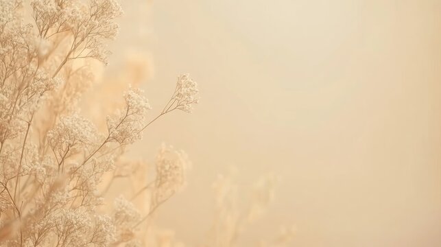 Floral mockup with delicate white flowers against a soft cream background, featuring ample blank space for customizable text or graphics.