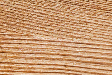 light wood texture with dark veins