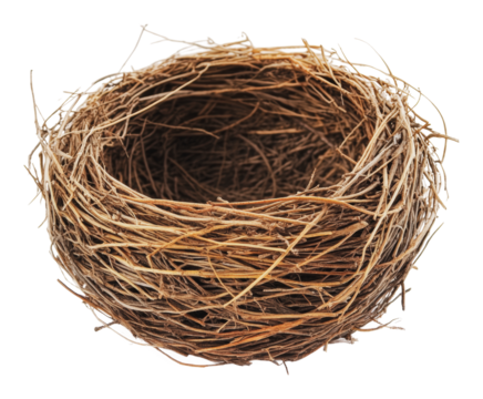PNG Natural bird nest made from twigs and grass